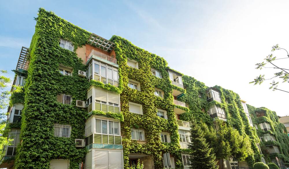 gruene-daecher-fassaden-gebaeudebegrueung-energieeffizienz-aesthetik-vorteile